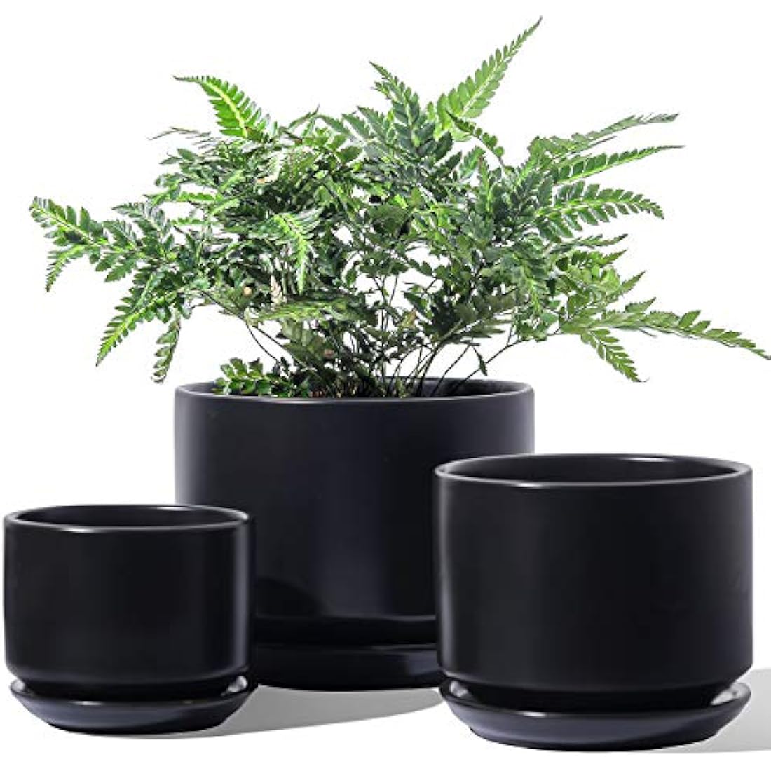 LE TAUCI Ceramic Planters | Set of 3 Indoor Flower Pots with Drainage