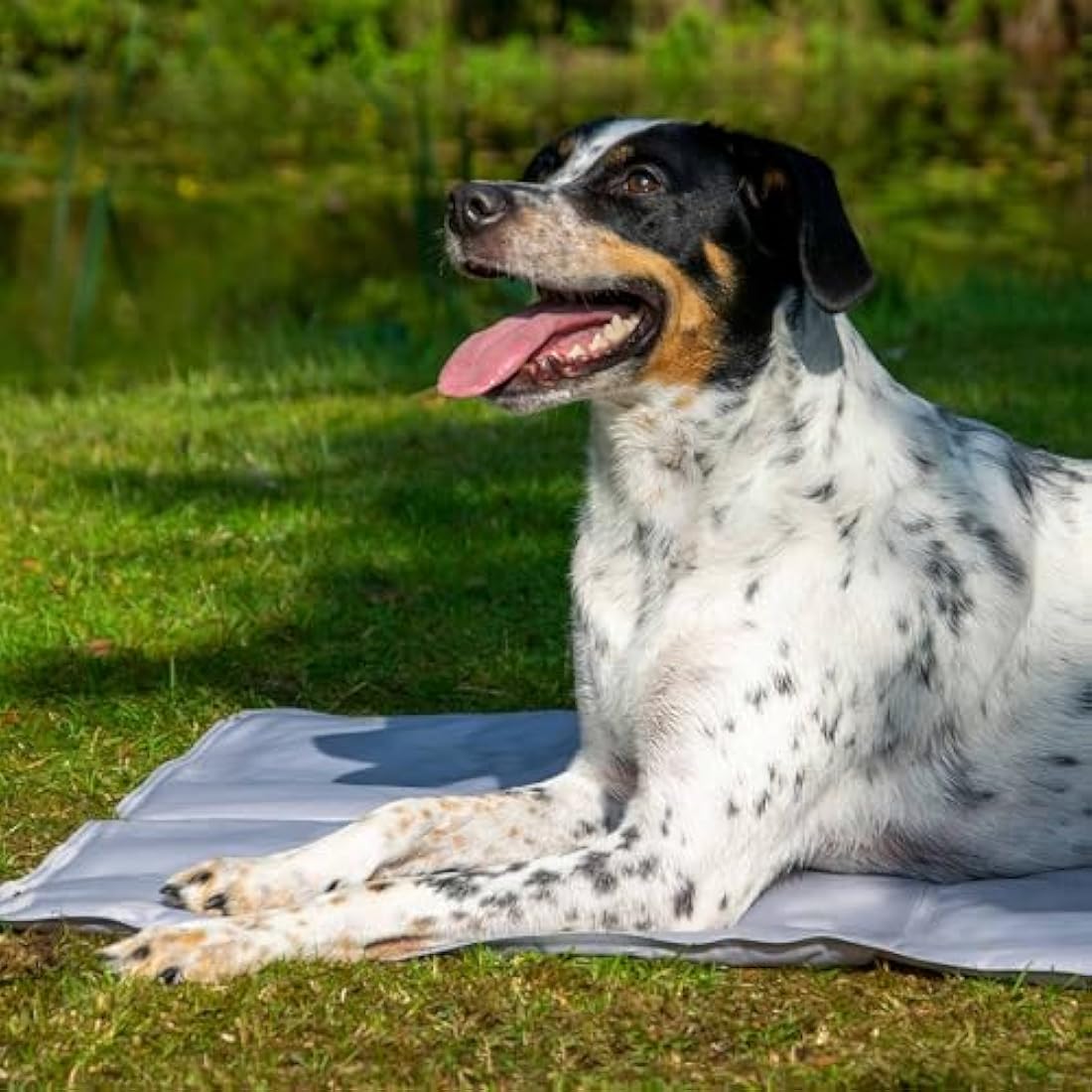 dobar Self-Cooling Dog Mat – Large Gel Cooling Blanket for Pets, Grey