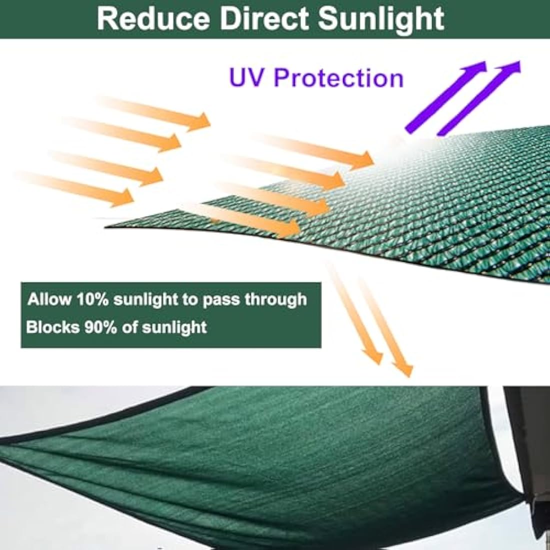 BeGrit Garden Privacy Screen – 2m x 5m UV Resistant HDPE Fence Mesh