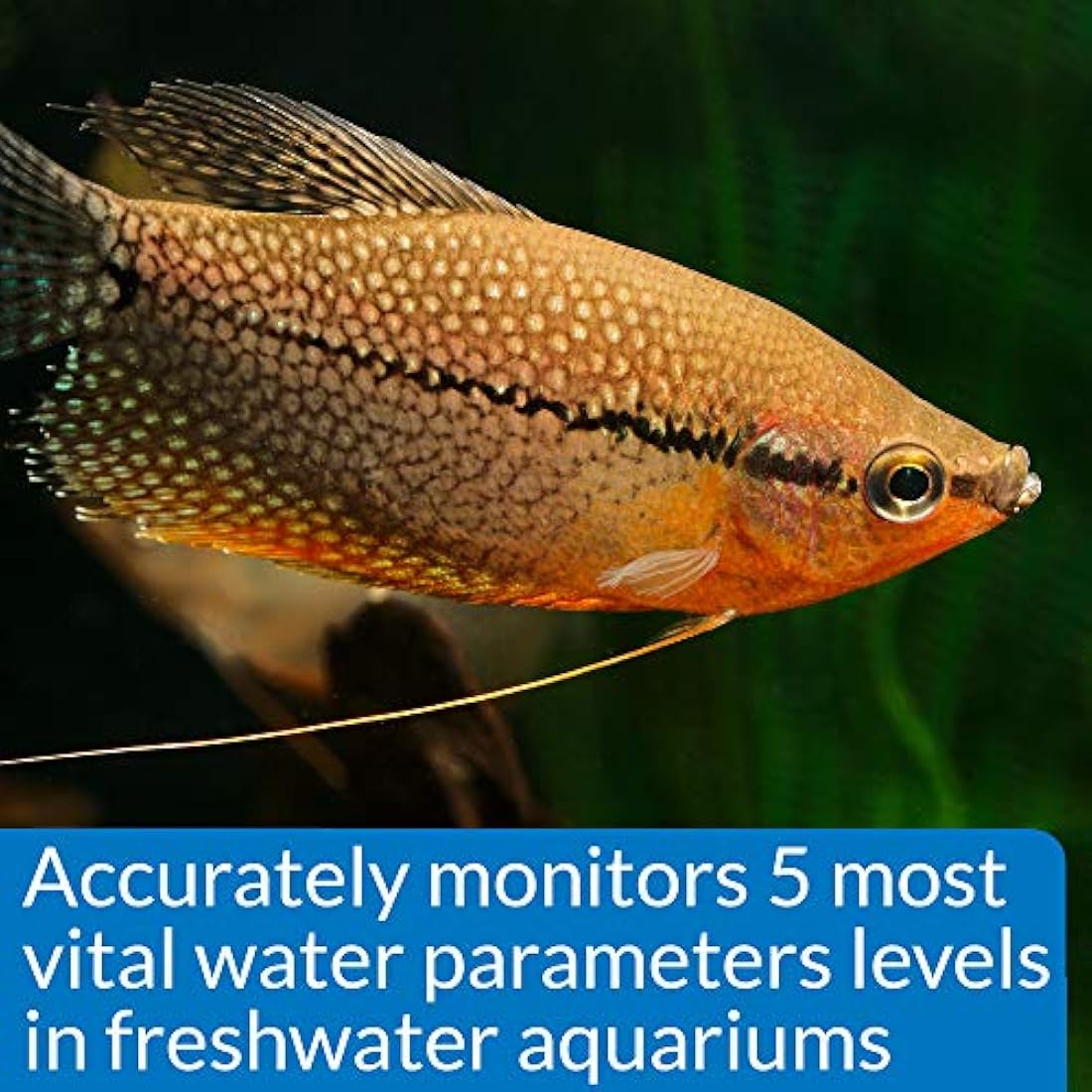 API Freshwater Aquarium Master Test Kit – 800 Test Water Quality Monitor