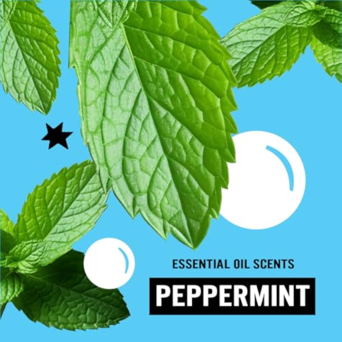 Molly's Suds Natural Laundry Detergent Powder – Peppermint, 70 Loads