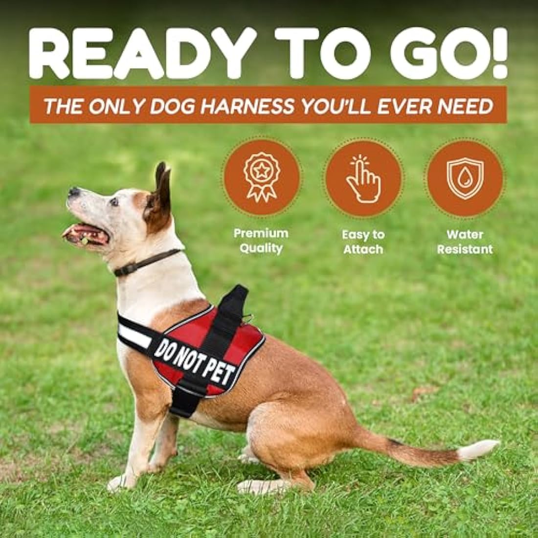 Jolof Store DO NOT PET Dog Vest Harness | Reflective & Adjustable