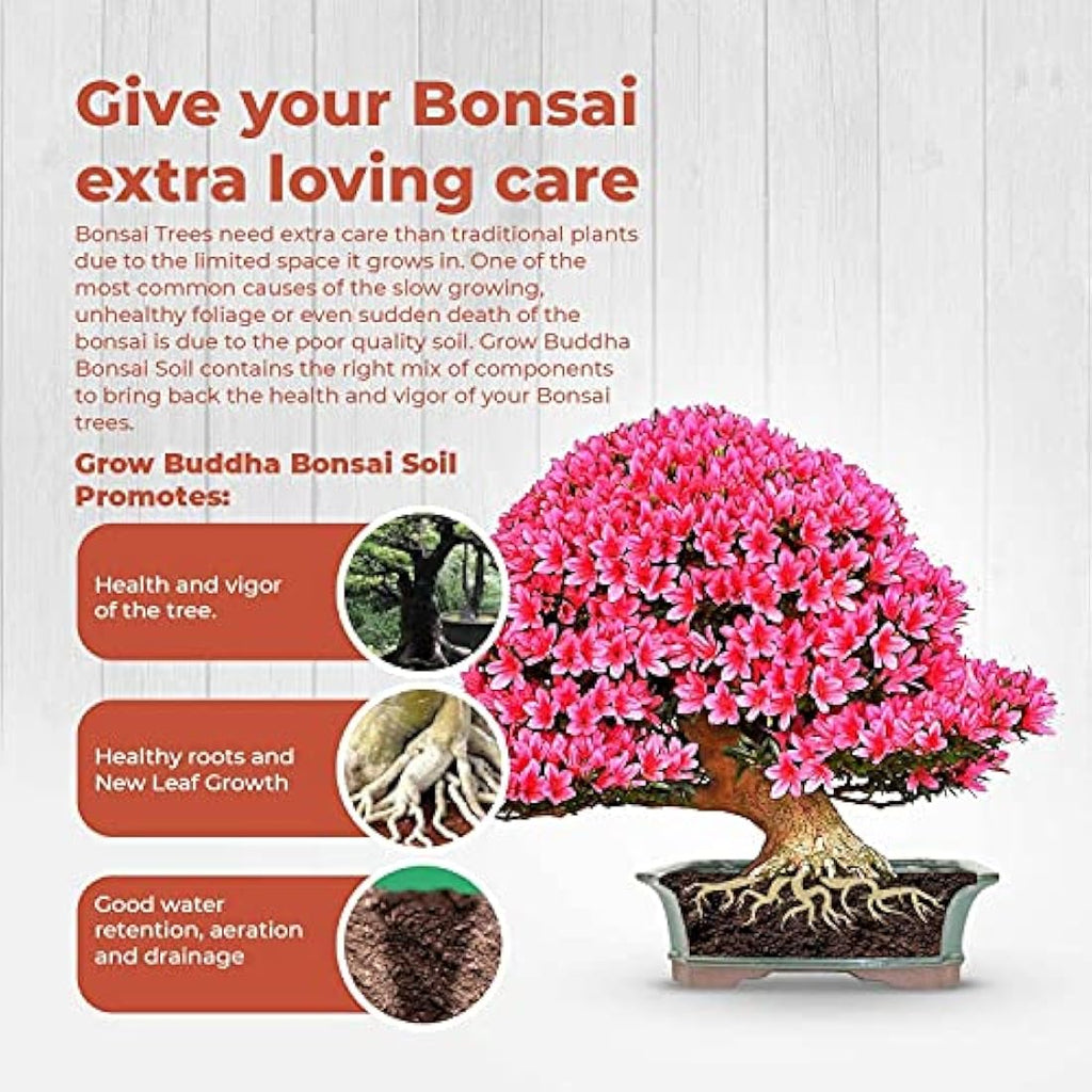 Grow Buddha Bonsai Soil - Premium Potting Mix for Drainage & Aeration