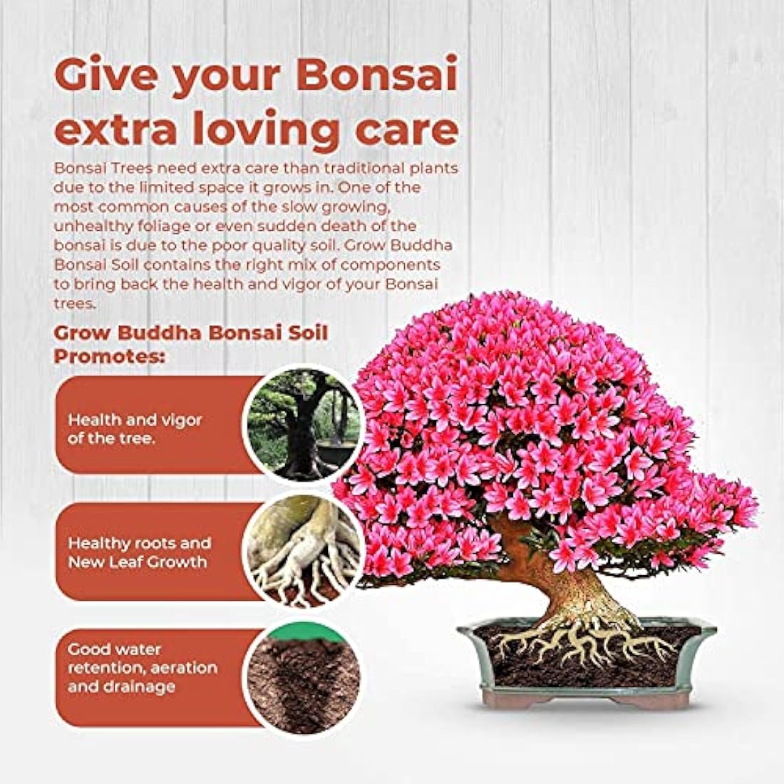 Grow Buddha Bonsai Soil - Premium Potting Mix for Drainage & Aeration