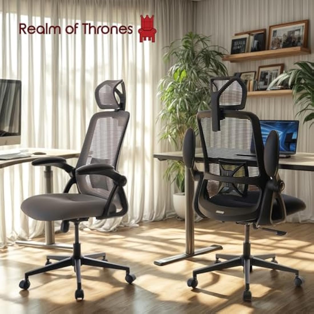 Realm of Thrones Captain Ergonomic Mesh Office Chair - Heavy Duty Black