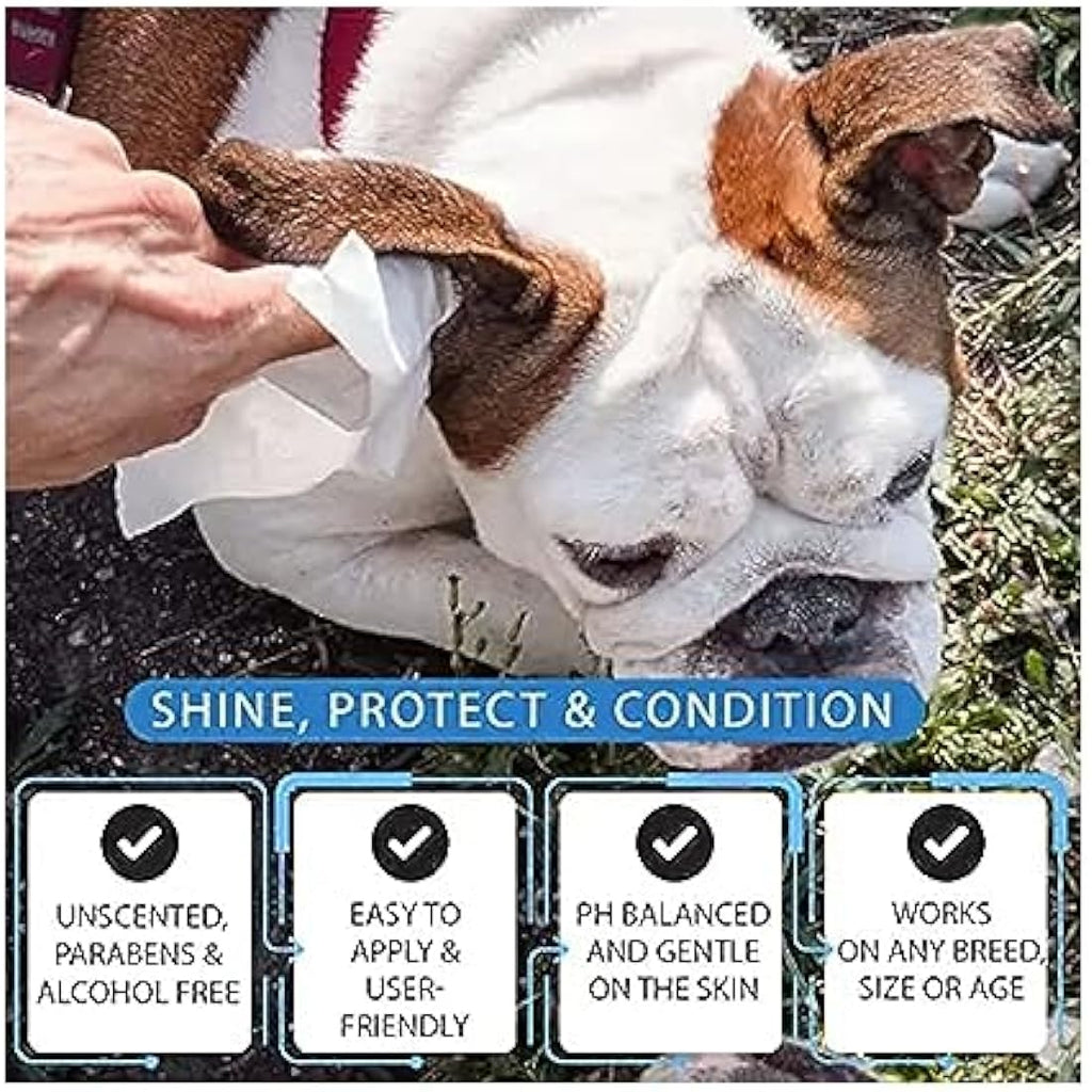 All-Purpose Pet Wipes for Dogs & Cats - Alcohol-Free (180ct)