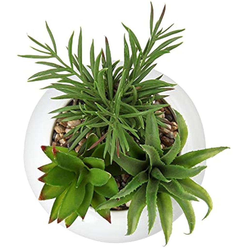 Briful Artificial Succulent Plants in White Ceramic Pot | Faux Desk Decor