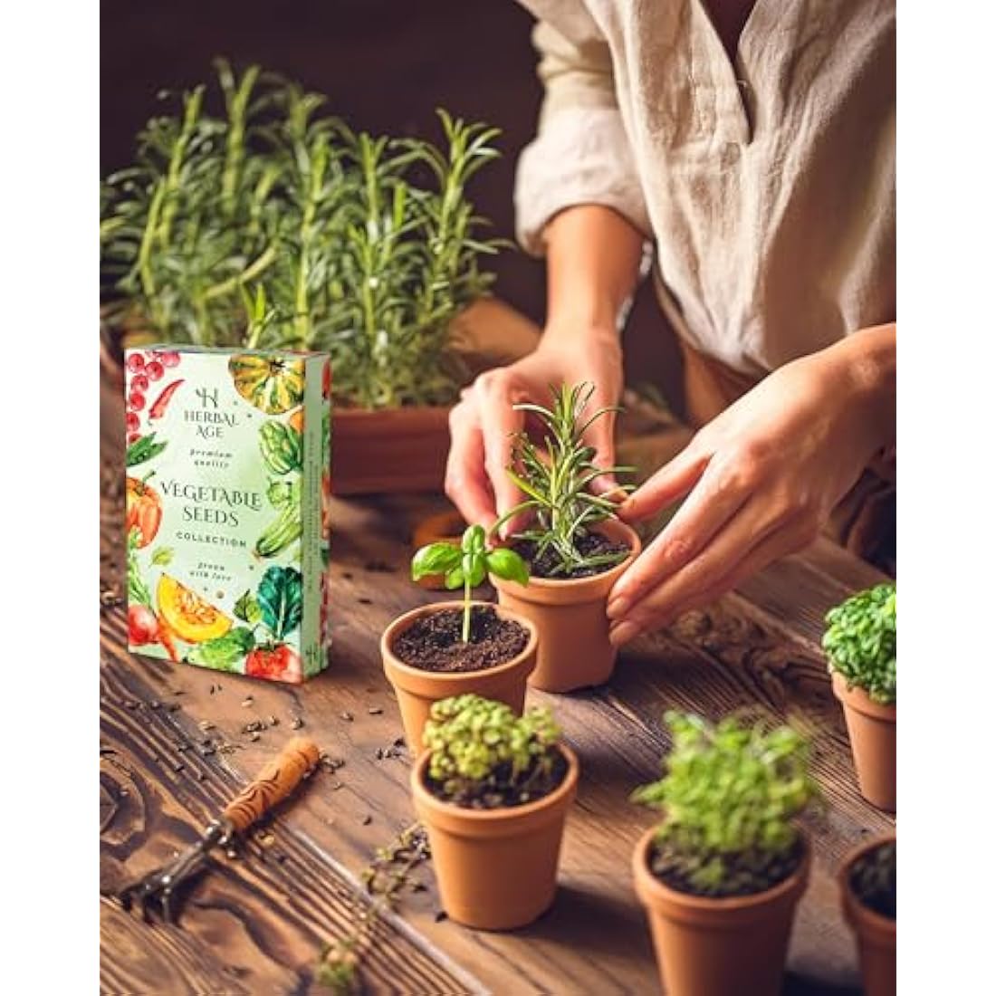 Grow Your Own Vegetable Seeds Box - 12 Variety Heirloom Kit