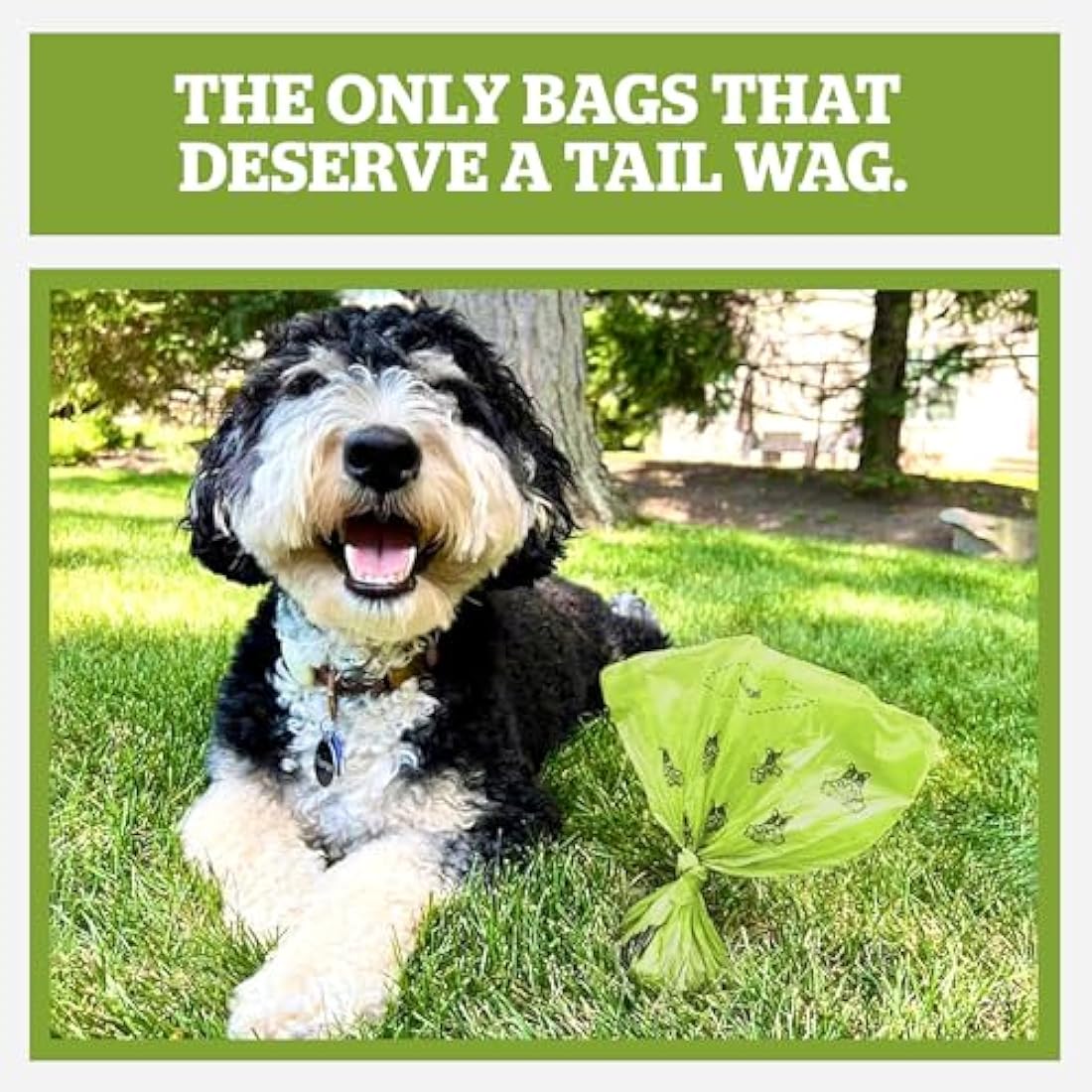 Pogi’s Biodegradable Dog Poo Bags – 750 Count Leak-Proof Scented Bags