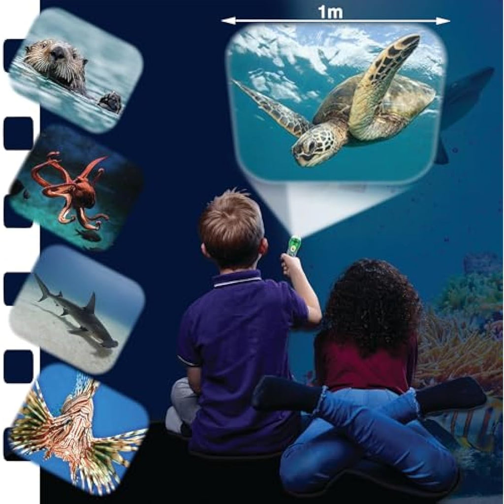 Natural History Museum Sea Creatures STEM Torch & Projector Toy