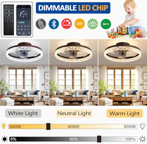 Jolof Store Modern LED Ceiling Fan with Light – 50CM Dimmable Black