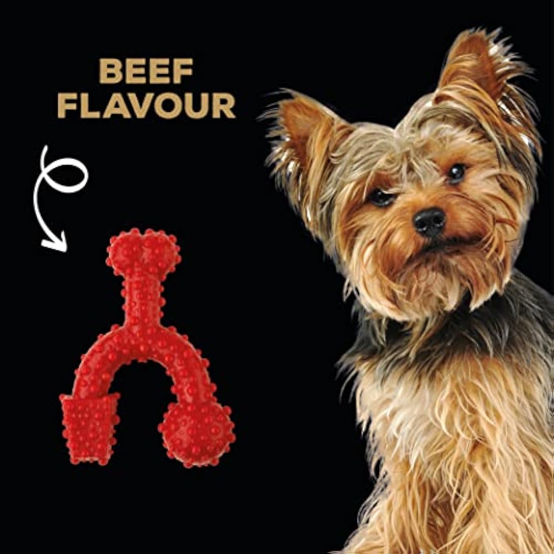 TastyBone TrioBone Beef Nylon Dog Chew Toy for Aggressive Chewers