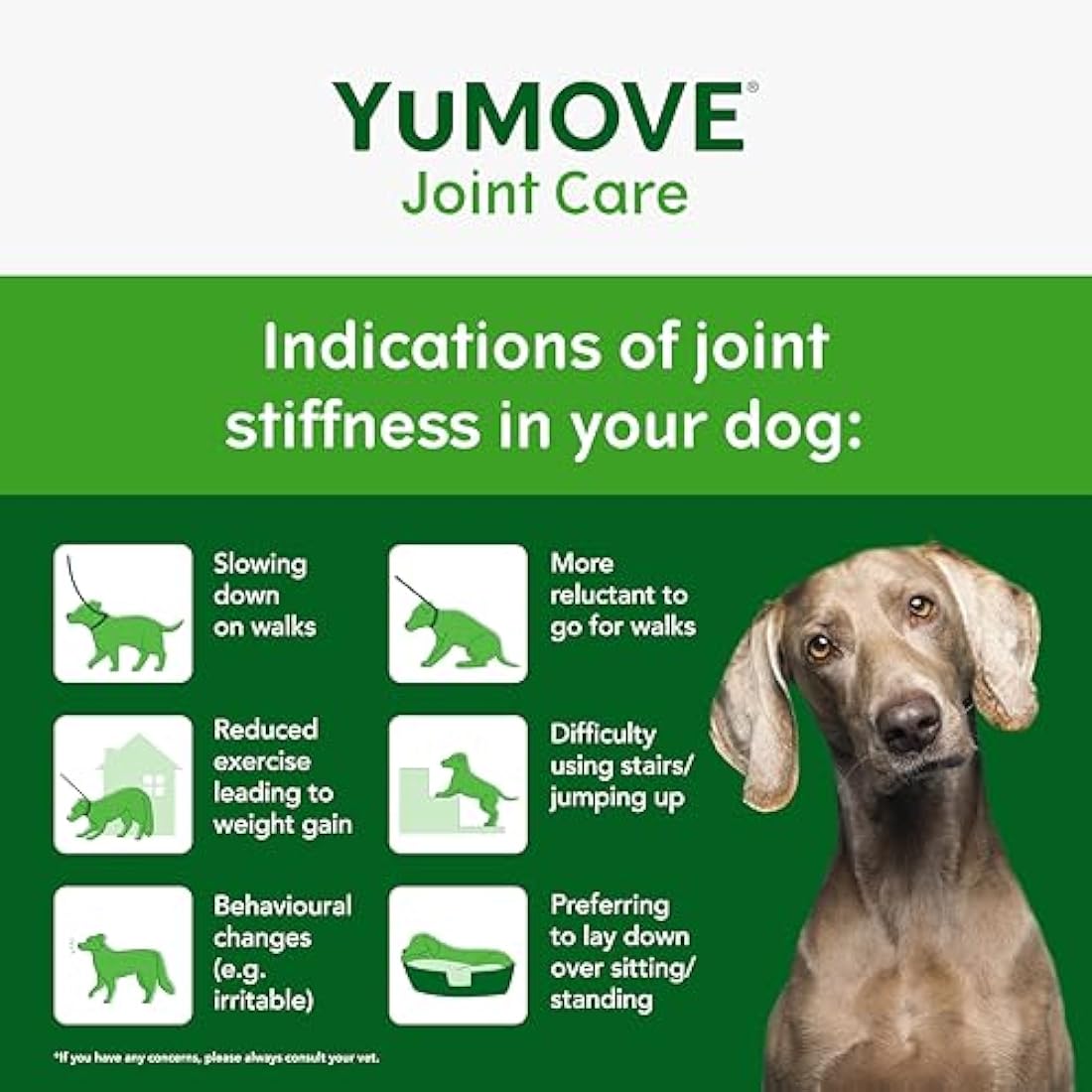 YuMOVE Senior Dog Joint Supplement – Glucosamine & Green Lipped Mussel