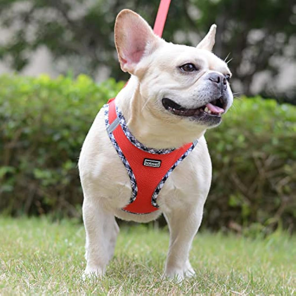 Step-in Dog Harness and Leash Set – Reflective Mesh Vest