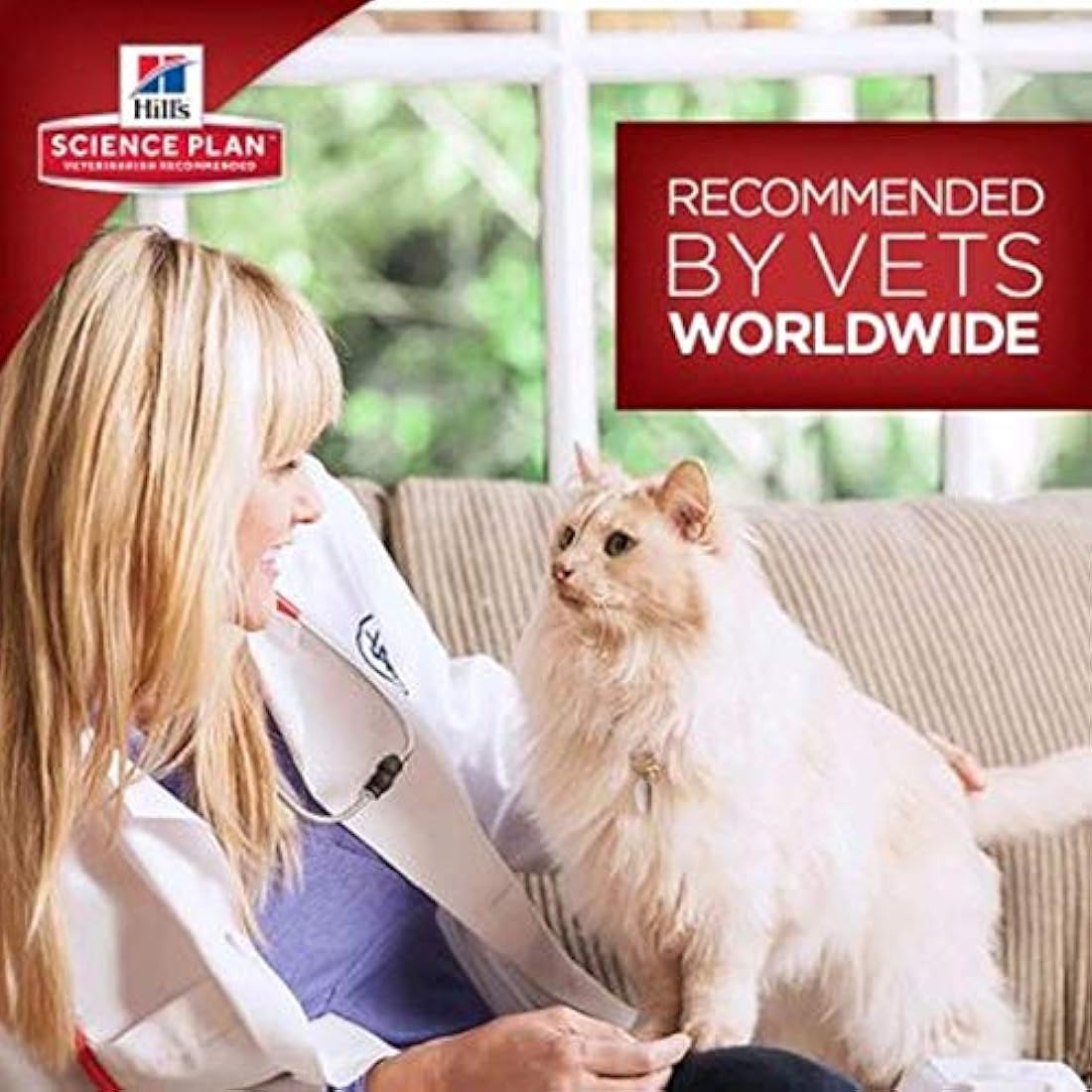 Hill's Science Plan Adult Dry Dog Food – Chicken Recipe (3 kg Bag)