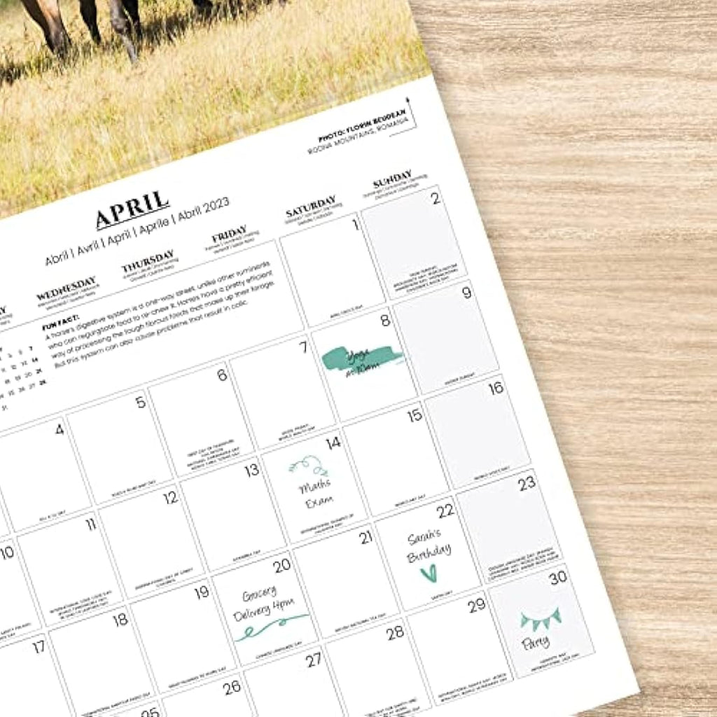 Grupo Erik Horse Wall Calendar 2023 | 12-Month Family Planner | 12x12