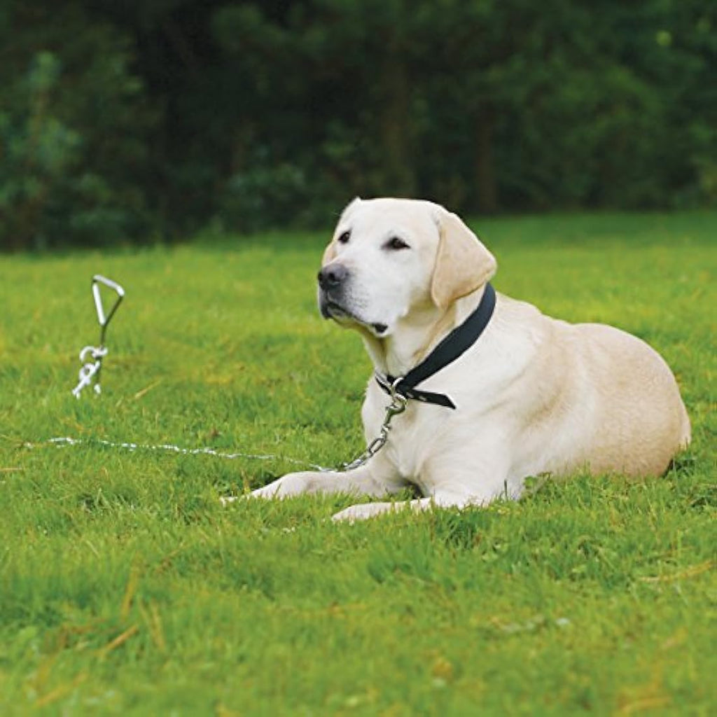 Heavy-Duty Ground Anchor Stake-Out Spike for Camping