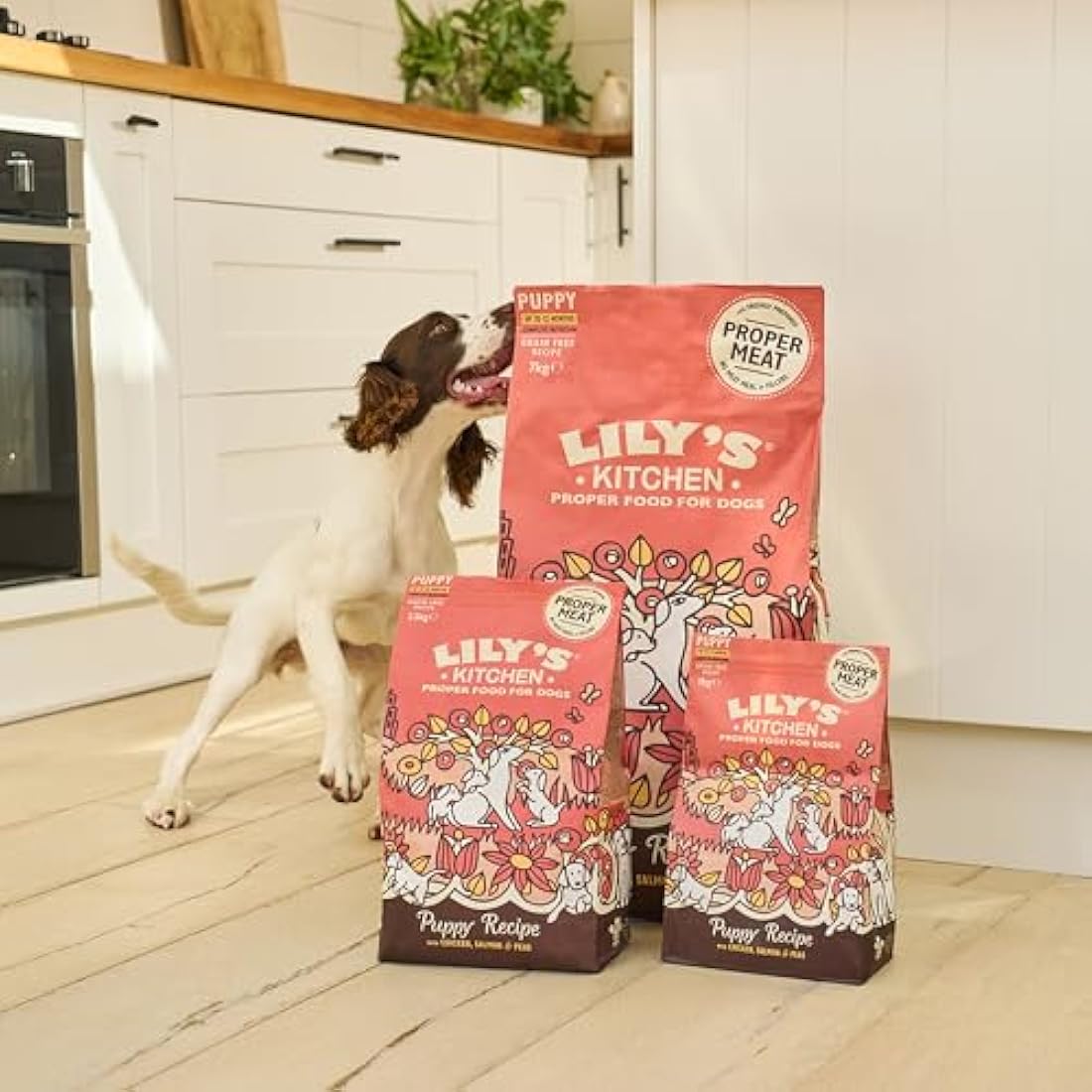 Lily's Kitchen Puppy Dry Dog Food | Grain-Free Chicken & Salmon - 7kg