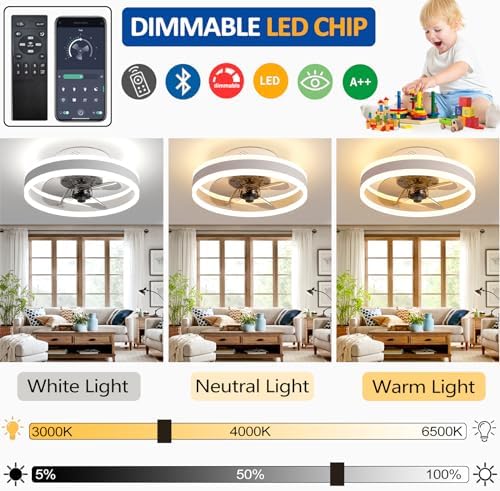 Jolof Store Modern LED Ceiling Fan with Light - 40CM Black Remote Control