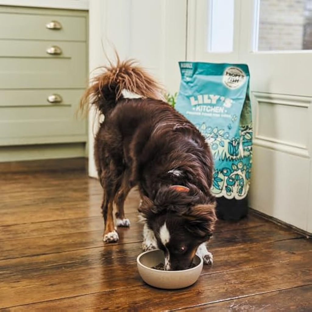 Lily’s Kitchen Salmon Supper Grain-Free Adult Dry Dog Food - 7kg