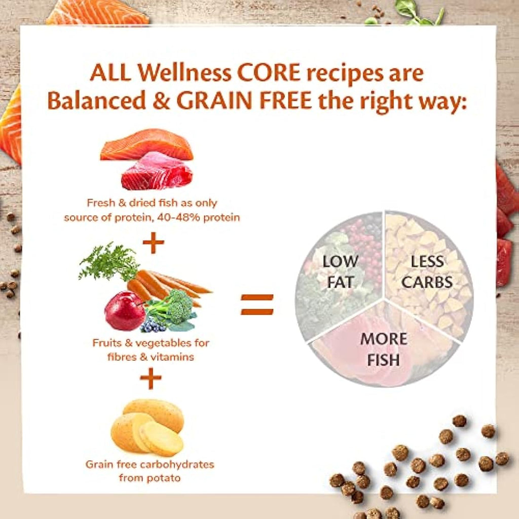 Wellness CORE Adult Ocean Salmon & Tuna Grain-Free Dry Cat Food - 300g