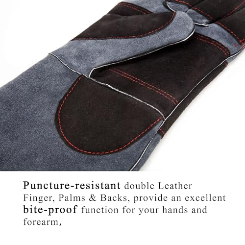 RAPICCA Bite Proof Leather Animal Handling Gloves | 16-inch Reinforced