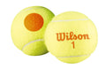 Wilson Starter Orange Tennis Balls – Bulk Pack of 48 Training Balls