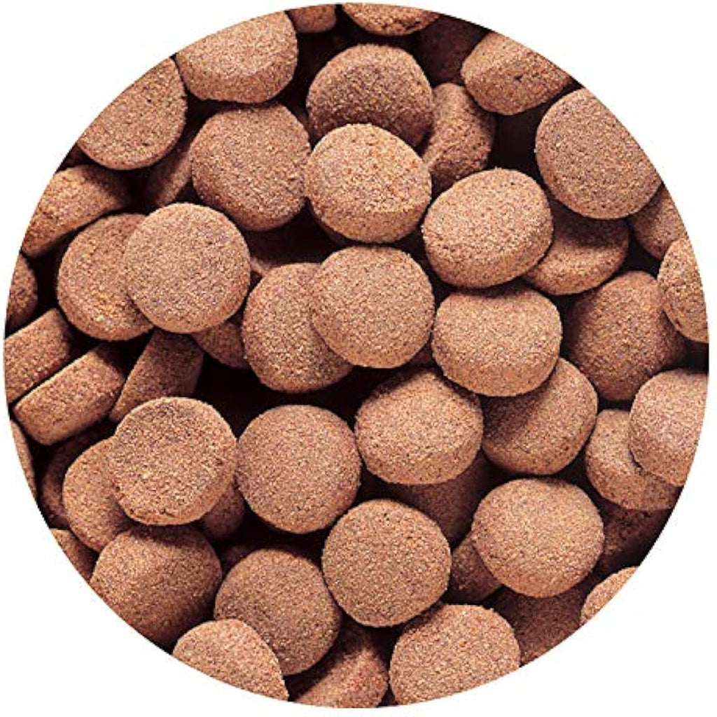 Hikari Massivore Delite Carnivorous Fish Food - 13.4 oz Pellets
