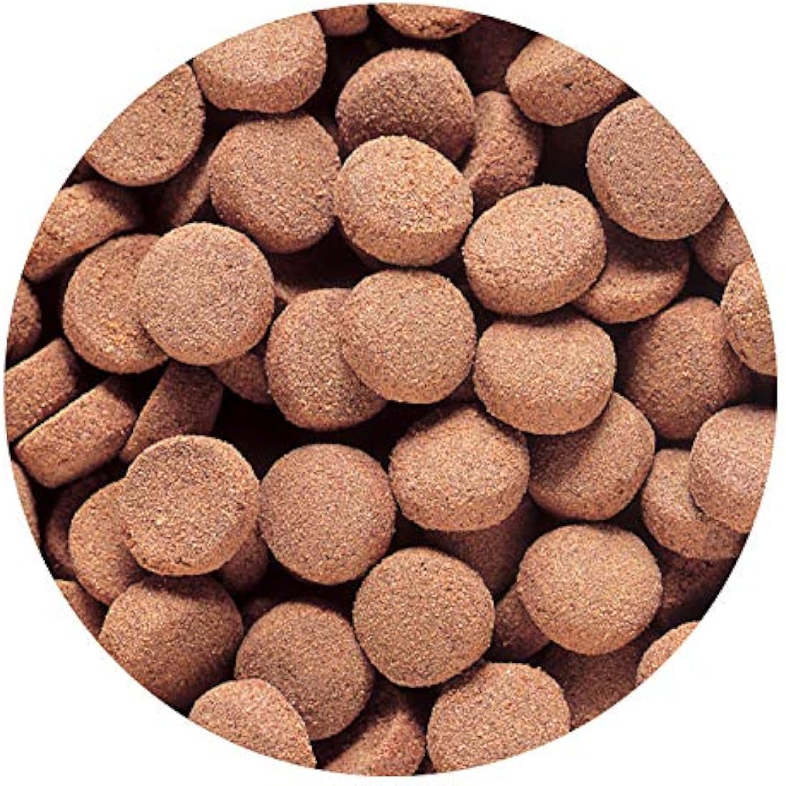 Hikari Massivore Delite Carnivorous Fish Food - 13.4 oz Pellets
