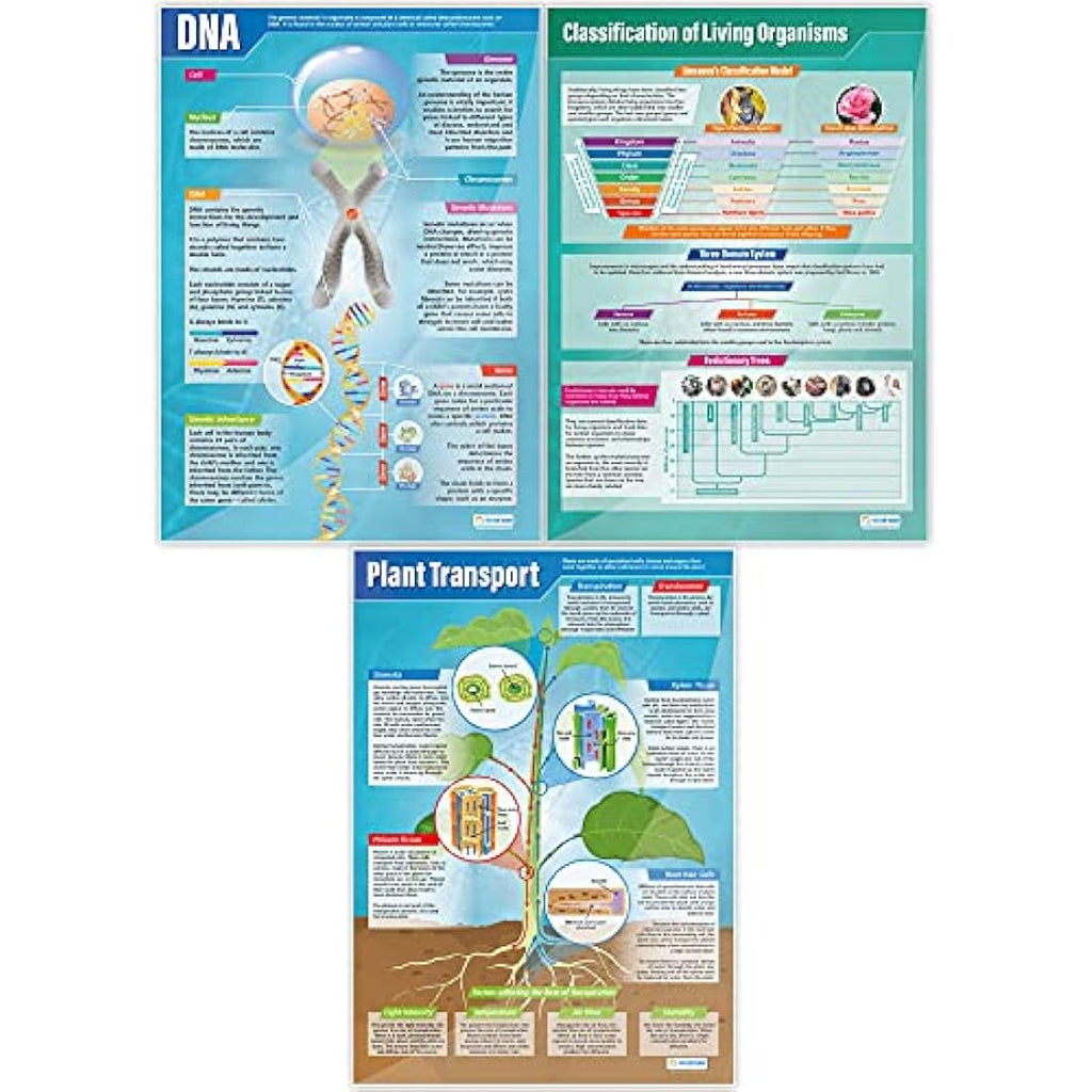 Daydream Education Biology Science Posters | Set of 13 Laminated A1 Charts