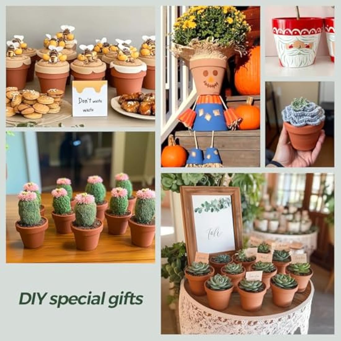 T4U Mini Terracotta Plant Pots - 12 Pcs Small Clay Pots for Succulents