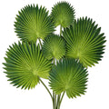 Artificial Palm Leaf Stems – 6 Pack Green Faux Jungle Plants