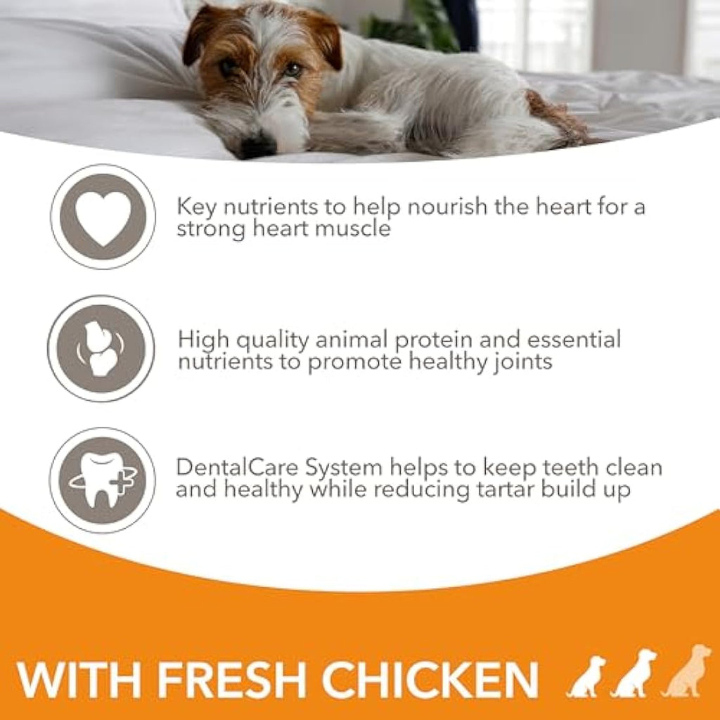 IAMS Senior Dog Food - Chicken Dry Kibble for Small & Medium Dogs 12kg