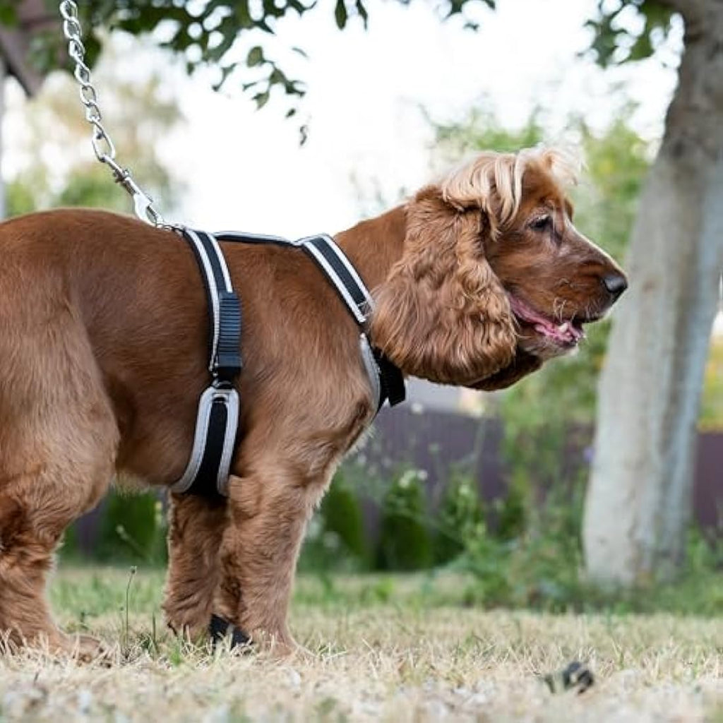 Ferplast Ergocomfort Dog Harness – Padded Nylon Adjustable Vest, Silver