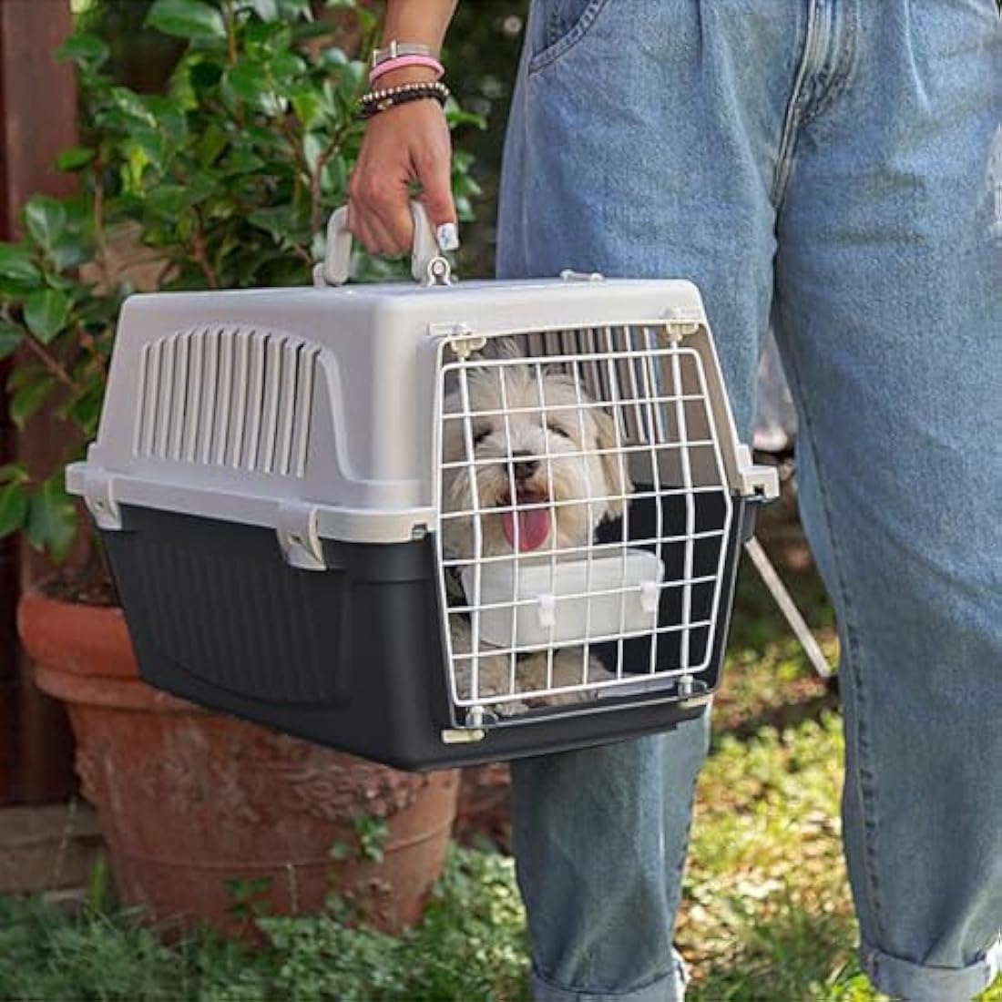 Ferplast Atlas Pet Carrier – Durable Cat & Small Dog Travel Box, 5kg