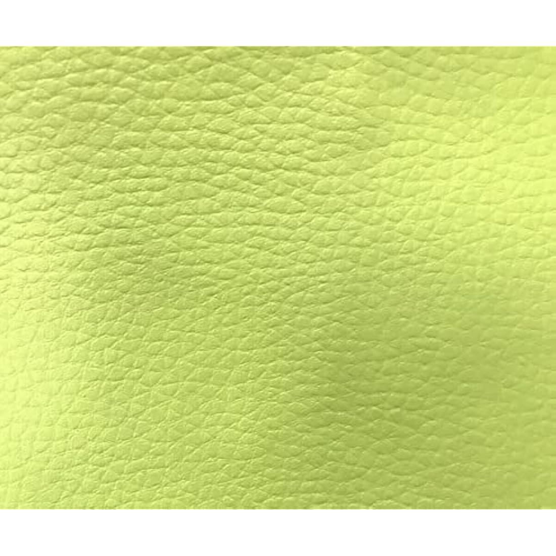 A-Express Grained Faux Leather Fabric | Heavy Duty Upholstery - Pistachio