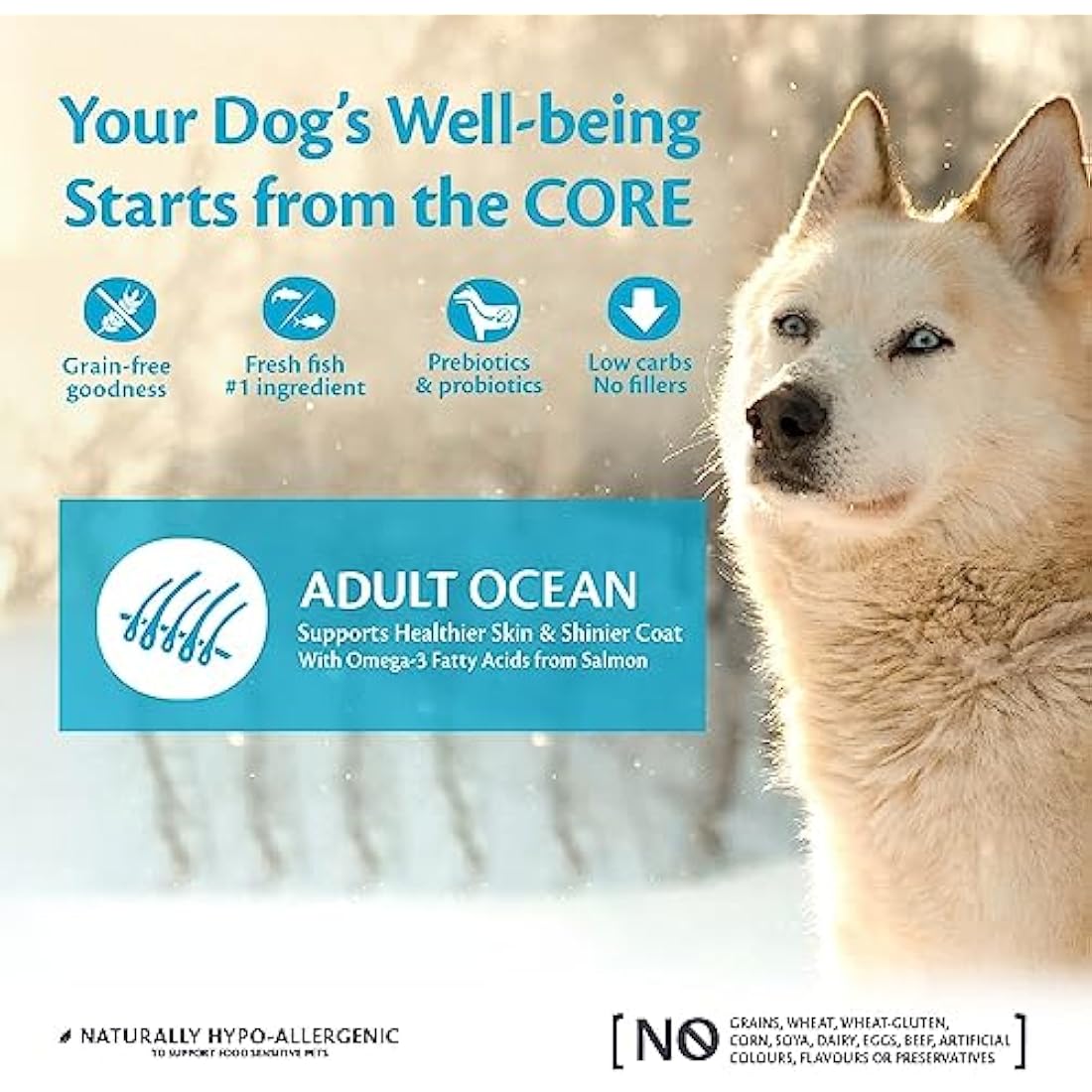 Wellness CORE Adult Ocean Salmon & Tuna Grain-Free Dog Food - 10kg