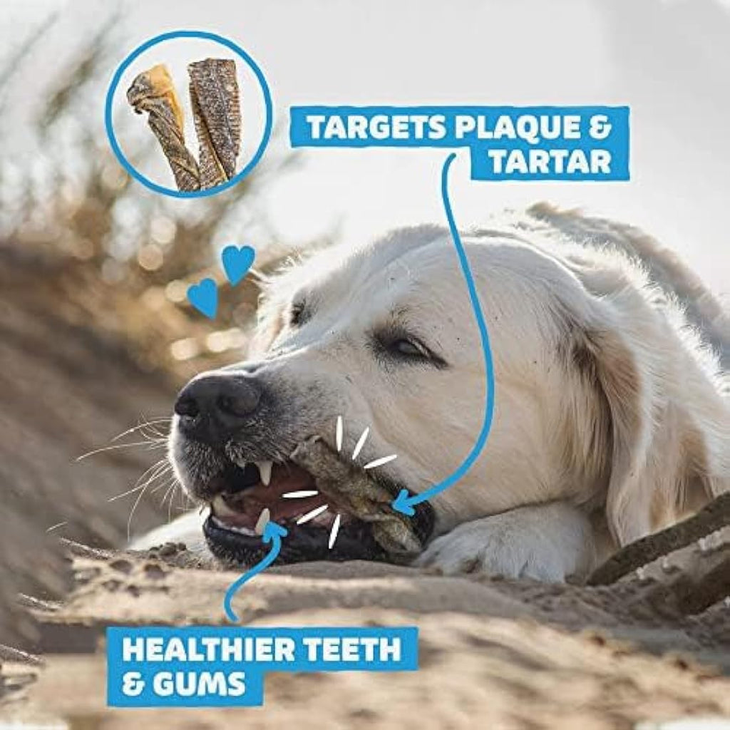 Skipper's Fish Skin Twists Dog Chews - Natural Dental Sticks (1kg)