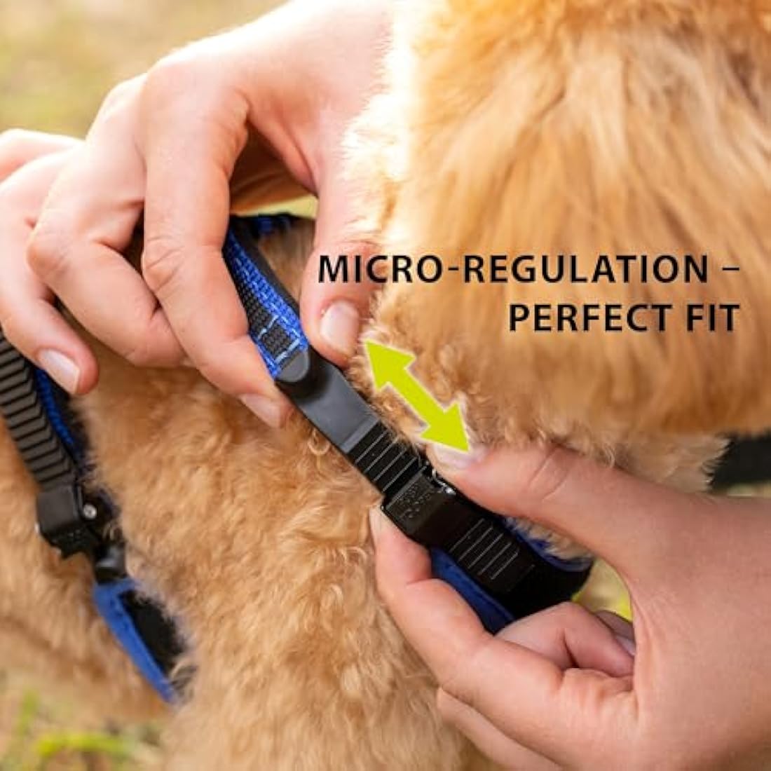 Ferplast Ergocomfort Large Dog Harness – Padded Nylon, Blue