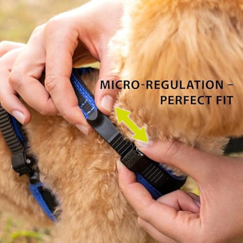 Ferplast Ergocomfort Small Dog Harness - Padded Nylon, Blue