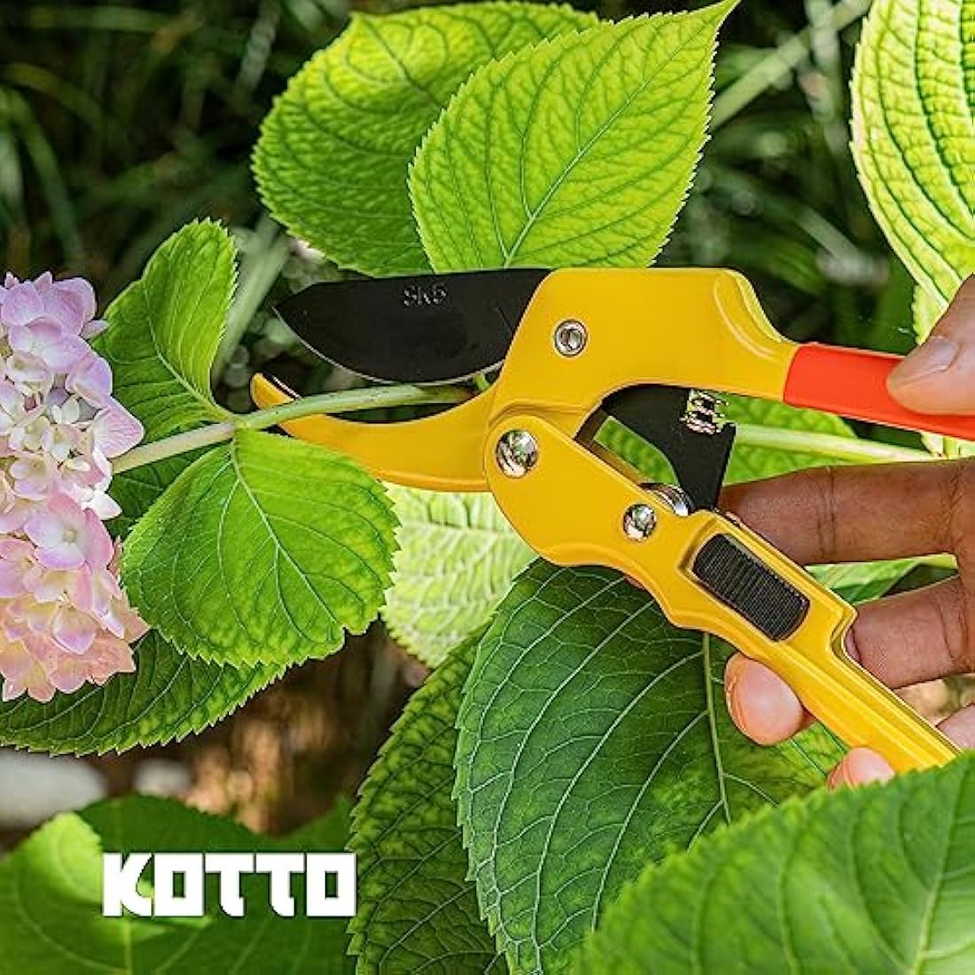 KOTTO Stainless Steel Pruning Shears – Heavy Duty Garden Secateurs