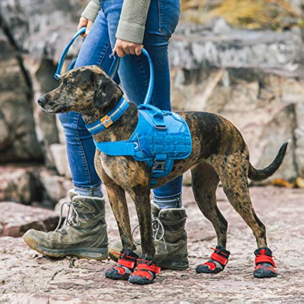 Kurgo RSG Townie Dog Hiking Harness – MOLLE Compatible, Coastal Blue