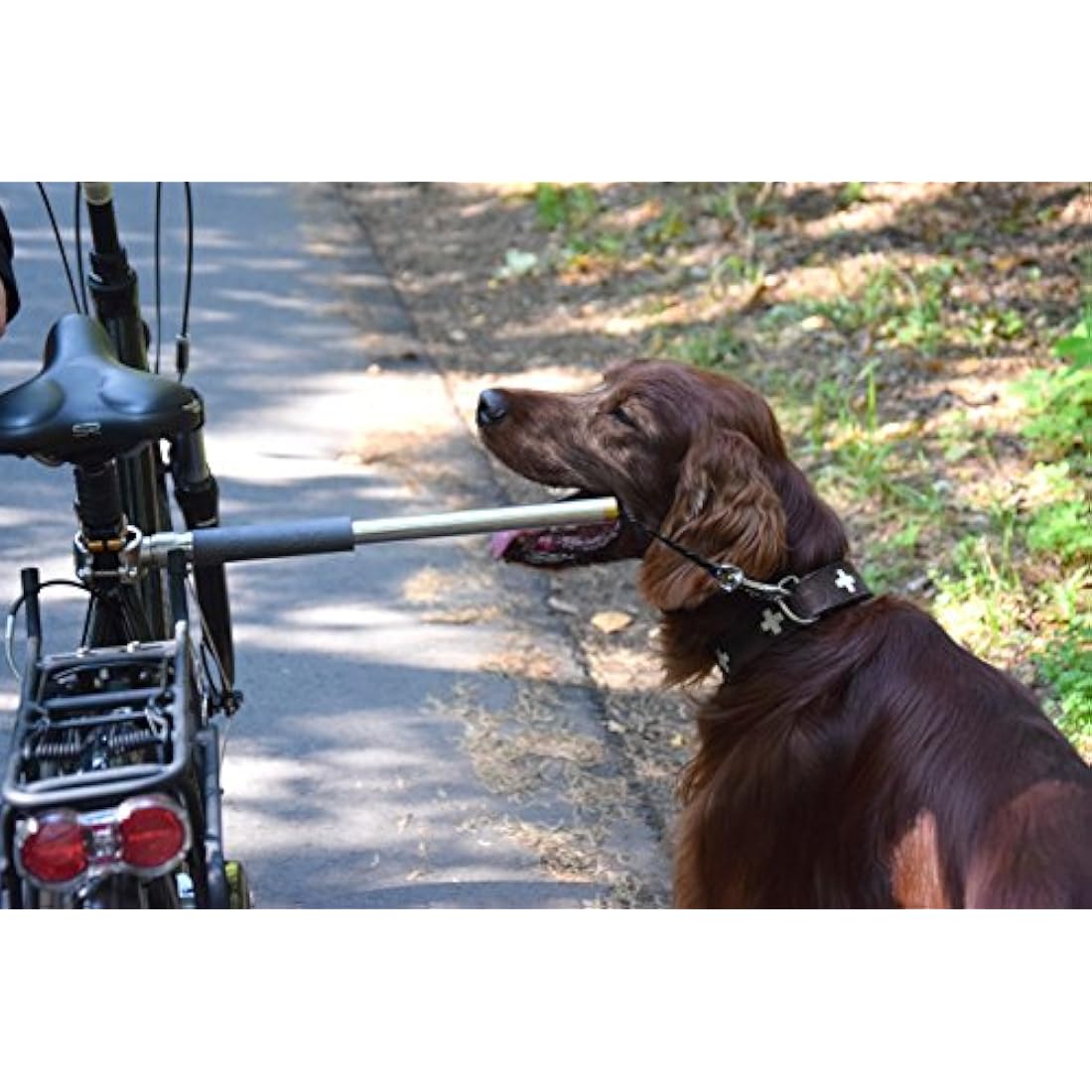 Walky Dog Plus Dog Bicycle Lead – Stainless Steel Shock Absorbing Leash
