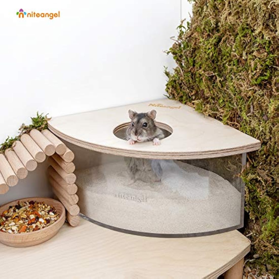 Niteangel Acrylic Hamster Sand Bath Box – Fan-Shaped Digging Container