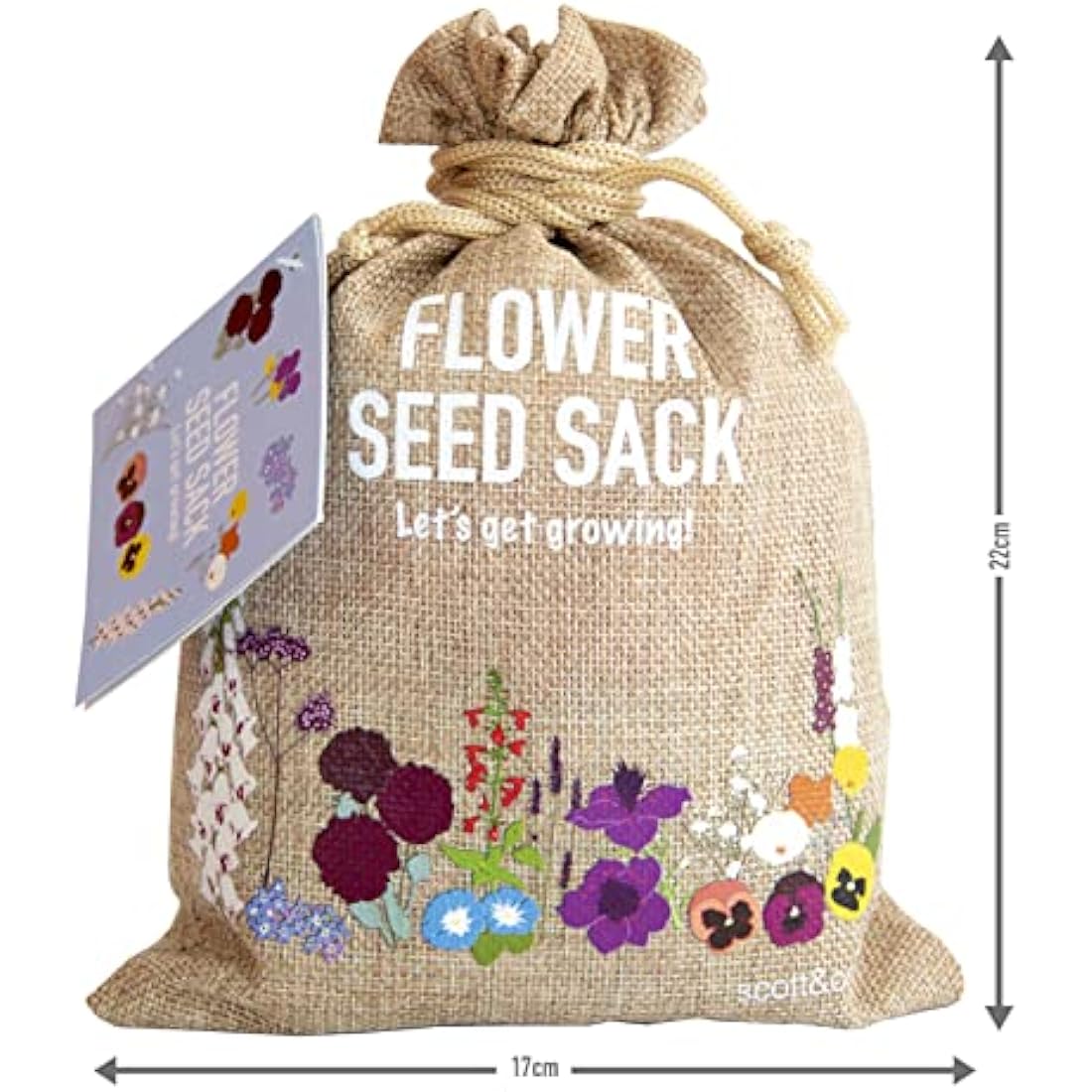 Scott&Co. Flower Seed Variety Pack | 30 Varieties for Bees & Butterflies