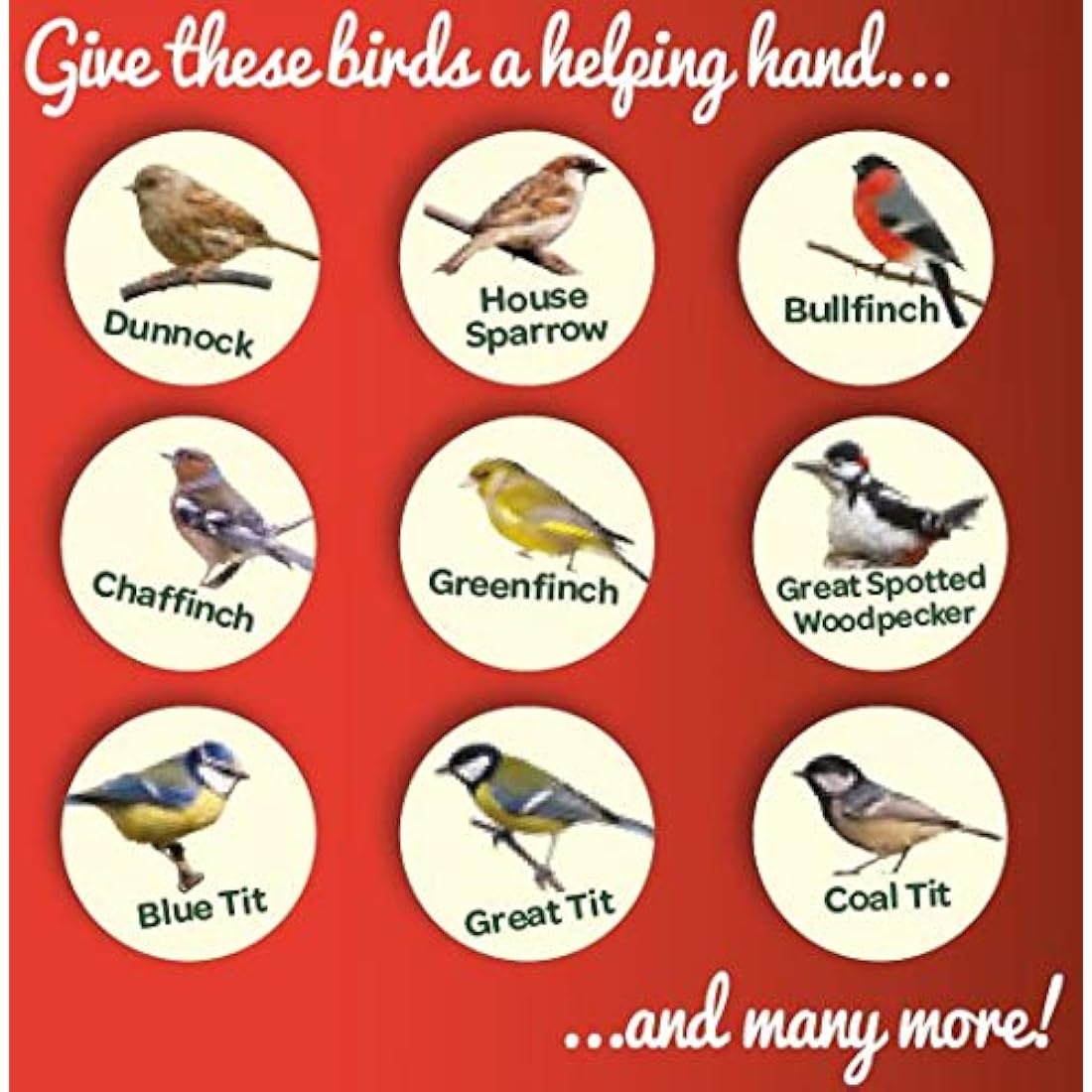 Peckish Peanuts for Wild Birds – High Energy Garden Bird Food, 12.75kg