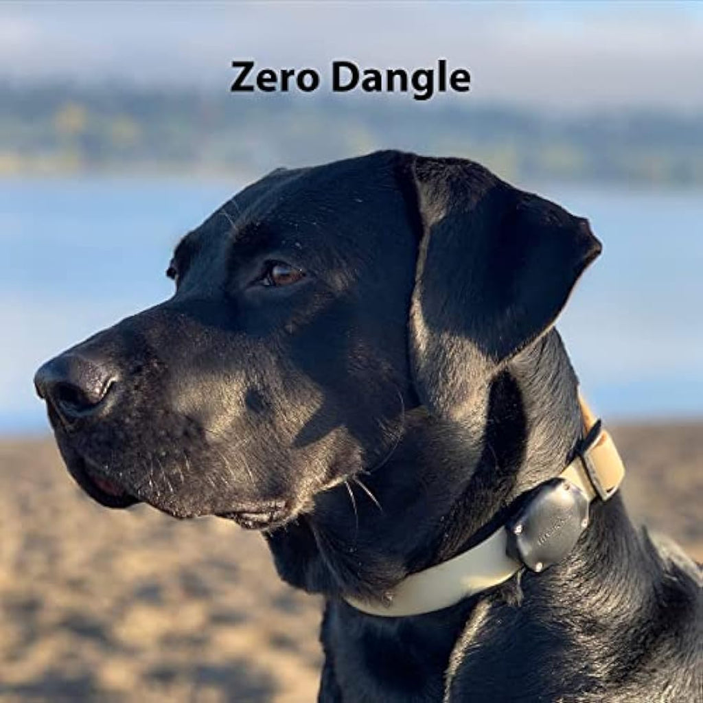 TagVault AirTag Dog Collar Mount - 4 Pack IP68 Waterproof