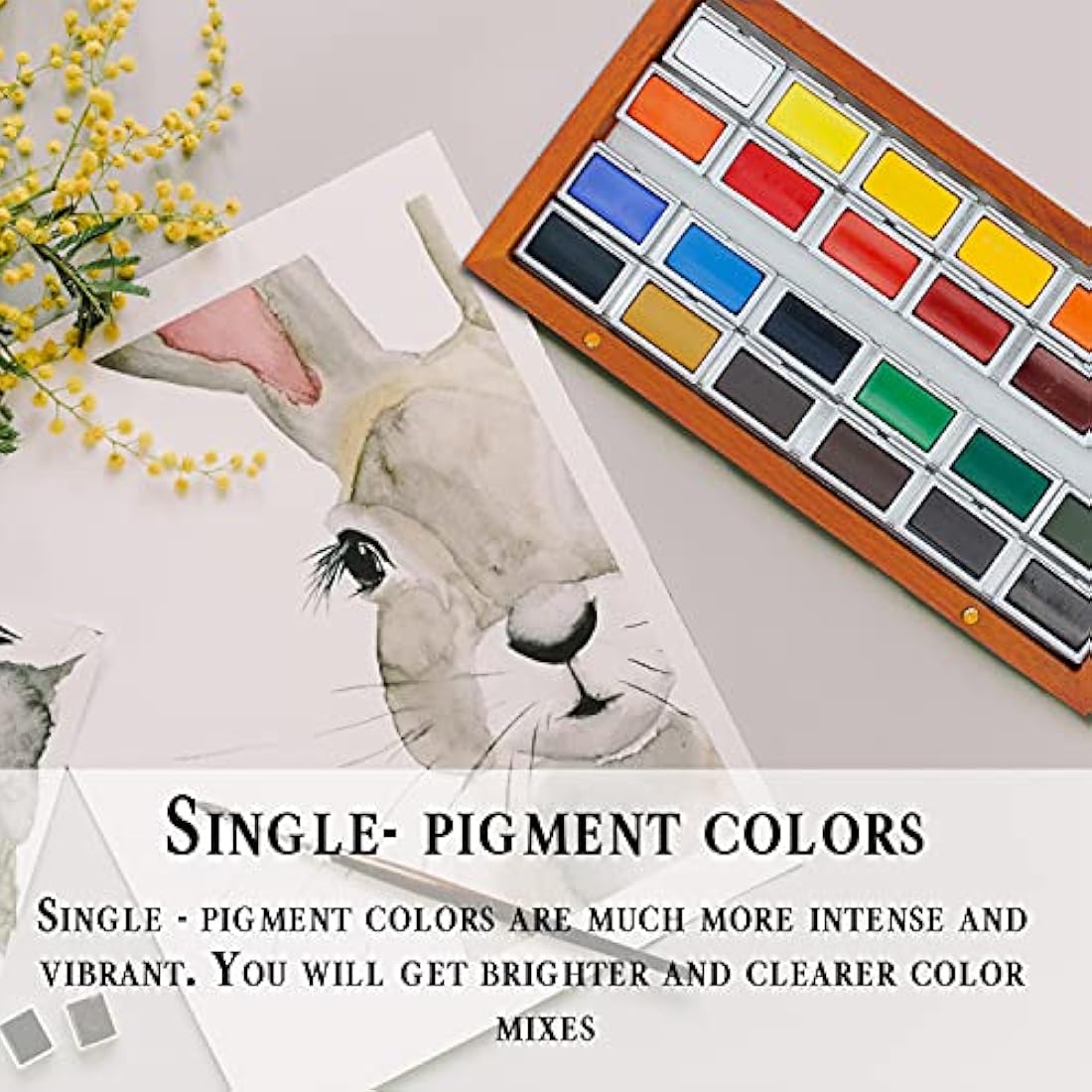 Pinturale Arts Professional Watercolour Paint Set - 24 Large Colours
