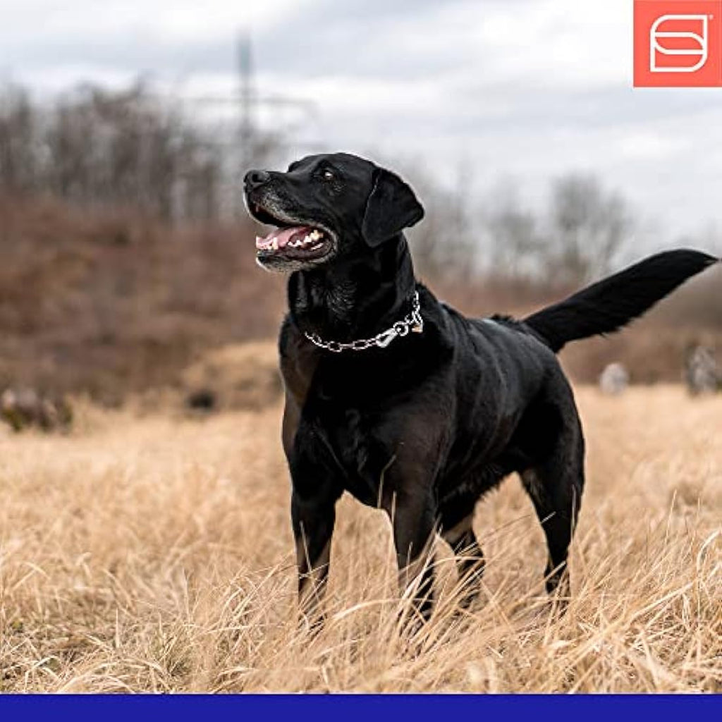 Sprenger HS Stainless Steel Short Link Adjustable Dog Training Collar