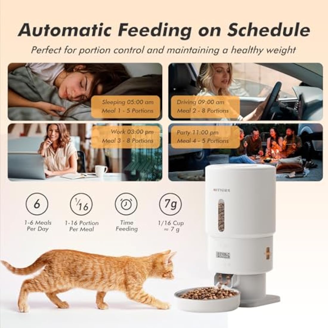 Jolof Store Automatic Cat Feeder | 5L Timed Dispenser with Stainless Bowl